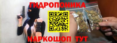 шишки Бузулук