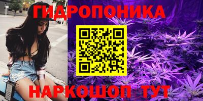 шишки Бузулук