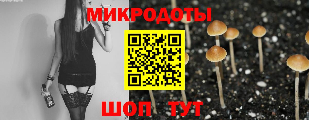 Галлюциногенные грибы GOLDEN TEACHER  Вход с VPN  Малоярославец 